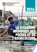 2016 LA SITUATION MONDIALE DES PÊCHES ET DE L’AQUACULTURE