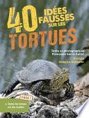 40 idées fausses sur les tortues