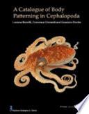 A Catalogue of Body Patterning in Cephalopoda