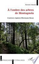 À l'ombre des arbres de Montagnola