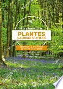 À la découverte des plantes sauvages utiles