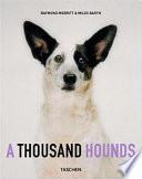 A Thousand Hounds