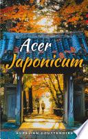 Acer japonicum