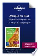 Afrique du Sud - Comprendre l'Afrique du Sud et Afrique du Sud pratique