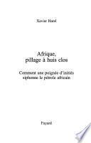 Afrique, pillage à huis clos