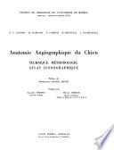Anatomie angiographique du chien