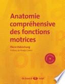 Anatomie compréhensive des fonctions motrices + CD