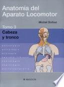 Anatomie de l'appareil locomoteur