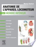 Anatomie de l'appareil locomoteur