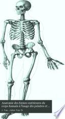 Anatomie des formes extérieures du corps humain a l'usage des peintres et des sculpteurs