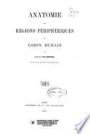 Anatomie des régions périphériques du corp humain