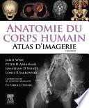 Anatomie du corps humain - Atlas d'Imagerie