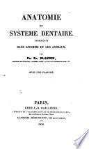 Anatomie du systeme dentaire