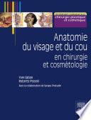Anatomie du visage et du cou