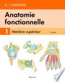 Anatomie fonctionnelle