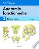 Anatomie fonctionnelle