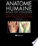 Anatomie humaine