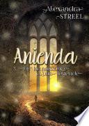 Anienda, Tome 3