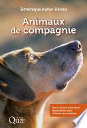 Animaux de compagnie
