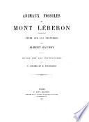 Animaux fossiles du Mont Léberon (Vaucluse)