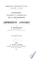 Annales de l'Université de Lyon