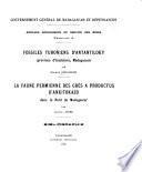 Annales Géologiques