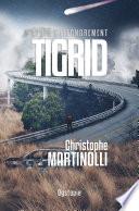 APRES L'EFFONDREMENT · Tome 4 : Tigrid