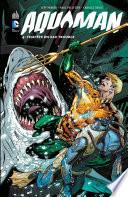 Aquaman - Volume 4 - Tempête en eau trouble