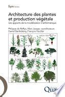 Architecture des plantes et production végétale