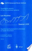 Aspects topologiques de la physique en basse dimension. Topological aspects of low dimensional systems