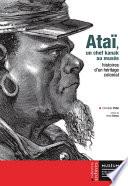 Ataï, un chef kanak au musée