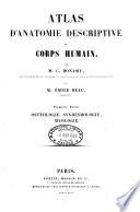 Atlas d'anatomie descriptive du corps humain