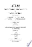 Atlas d'anatomie descriptive du corps humain, par MM. les docteurs C. Bonamy, Paul Broca, et M. Emile Beau, dessinateur