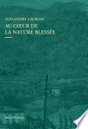 Au coeur de la nature blessee - Apprendre à voir les paysages du XXIe siècle