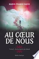 Au coeur de nous, tome 3 - Sur le chemin de Lillewik