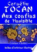 Aux confins de l'invisible. Haïkus d'intérieur illustrés