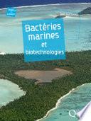 Bactéries marines et biotechnologies
