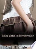 Baise dans le dernier train
