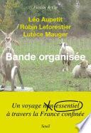 Bande organisée