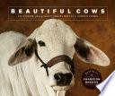 Beautiful Cows