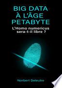 Big data à l'âge Petabyte