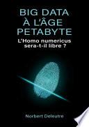 Big data à l'âge Petabyte