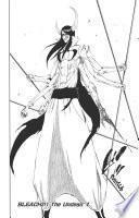 Bleach - T35 - Chapitre 311