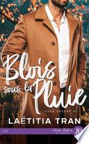 Blois sous la pluie