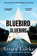 Bluebird, Bluebird