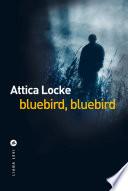 Bluebird, Bluebird
