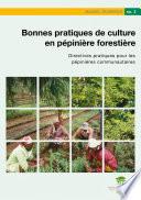 Bonnes pratiques de culture en pépinière forestière: directives pratiques pour les pépinières communautaires