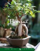 Bonsaï