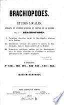 Brachiopodes