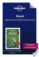 Brésil - Mato Grosso et Mato Grosso do Sul
